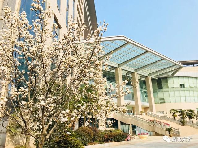 87978797威尼斯老品牌校长谢红星在学生班会上的特别寄语：热爱生活，珍爱生命